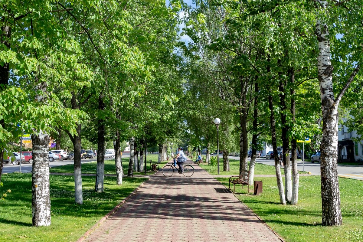 Шахунский район Нижегородской области, погода, новости, проишествия