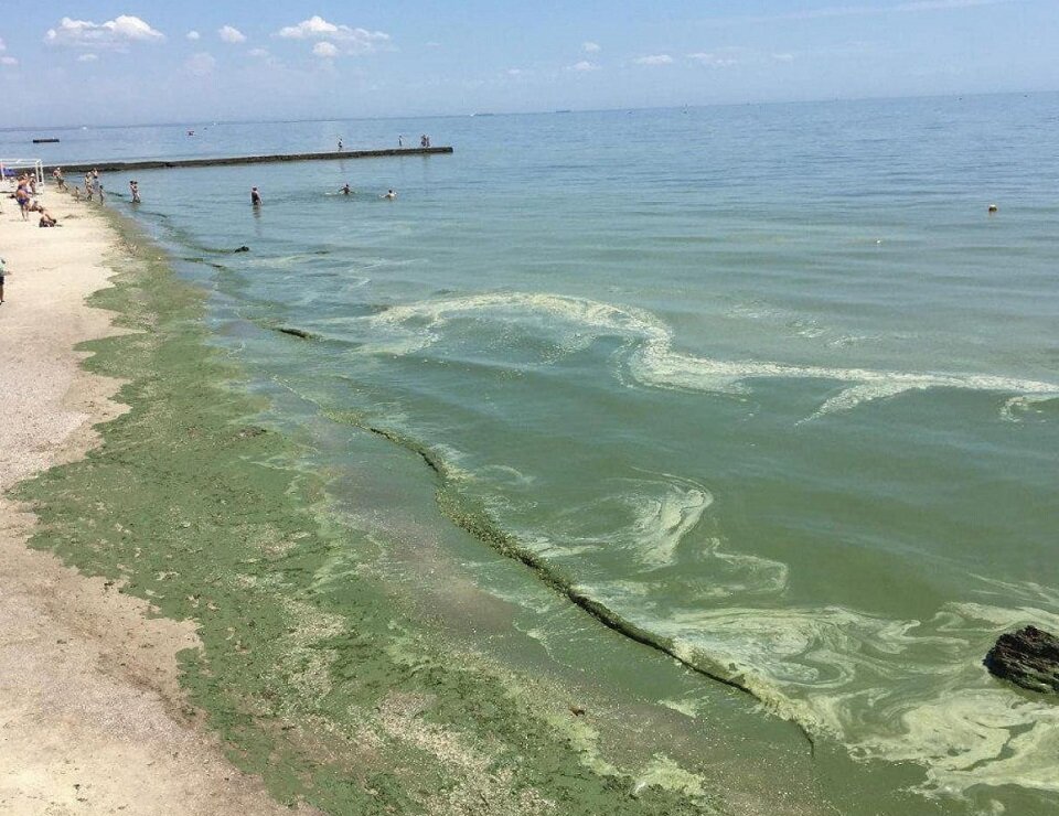 Цветение воды не является причиной «протухания», но это тоже довольно неприятное для купальщиков явление 