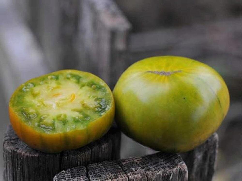 Фото: fedoskinolife.ru