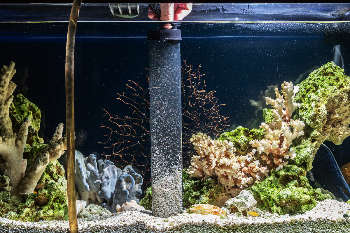 Как часто надо менять воду в аквариуме? | PROpets | Дзен
