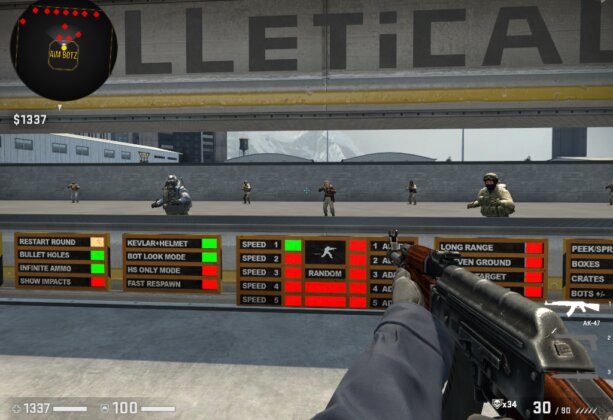 Aim Botz – Training