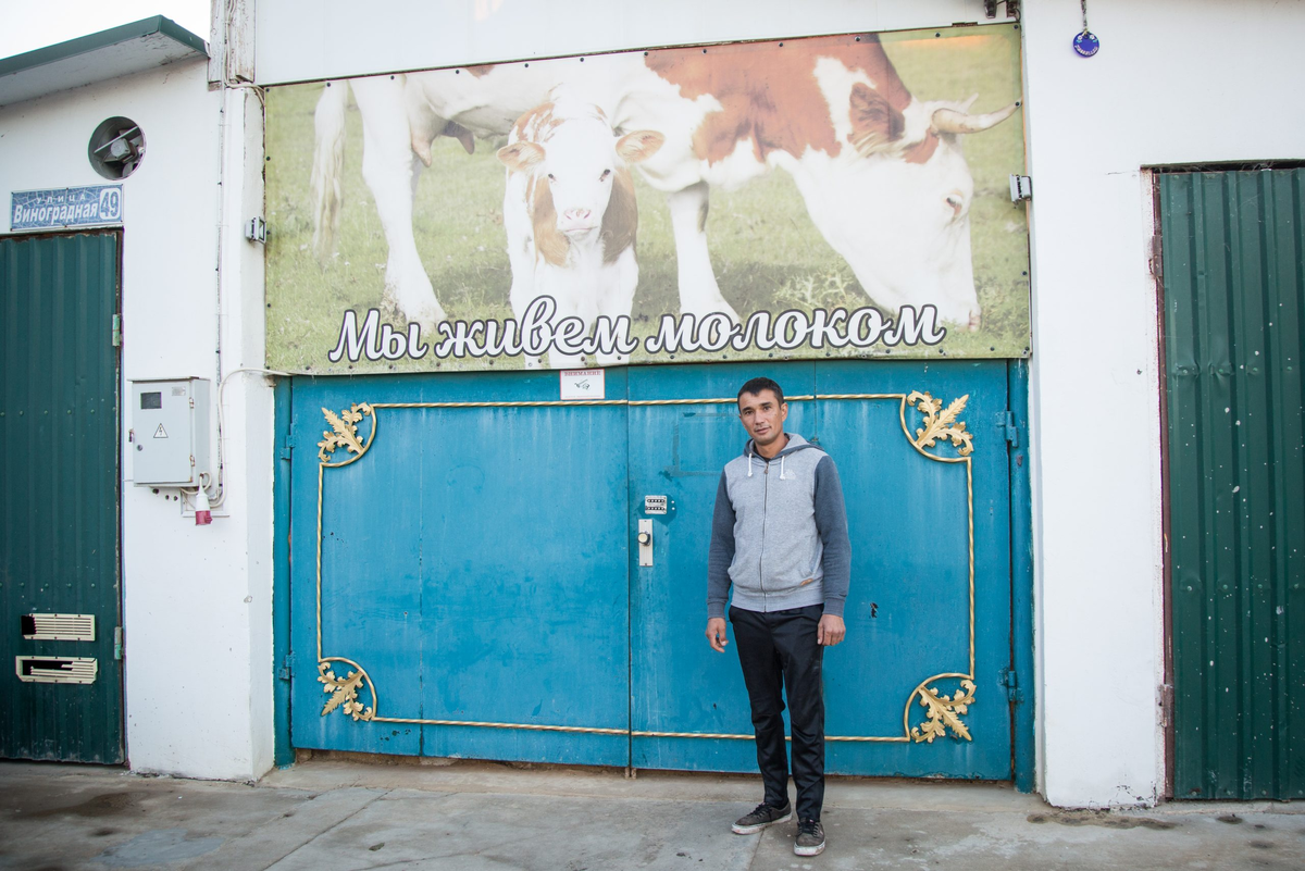 Баннер на входе в коровник