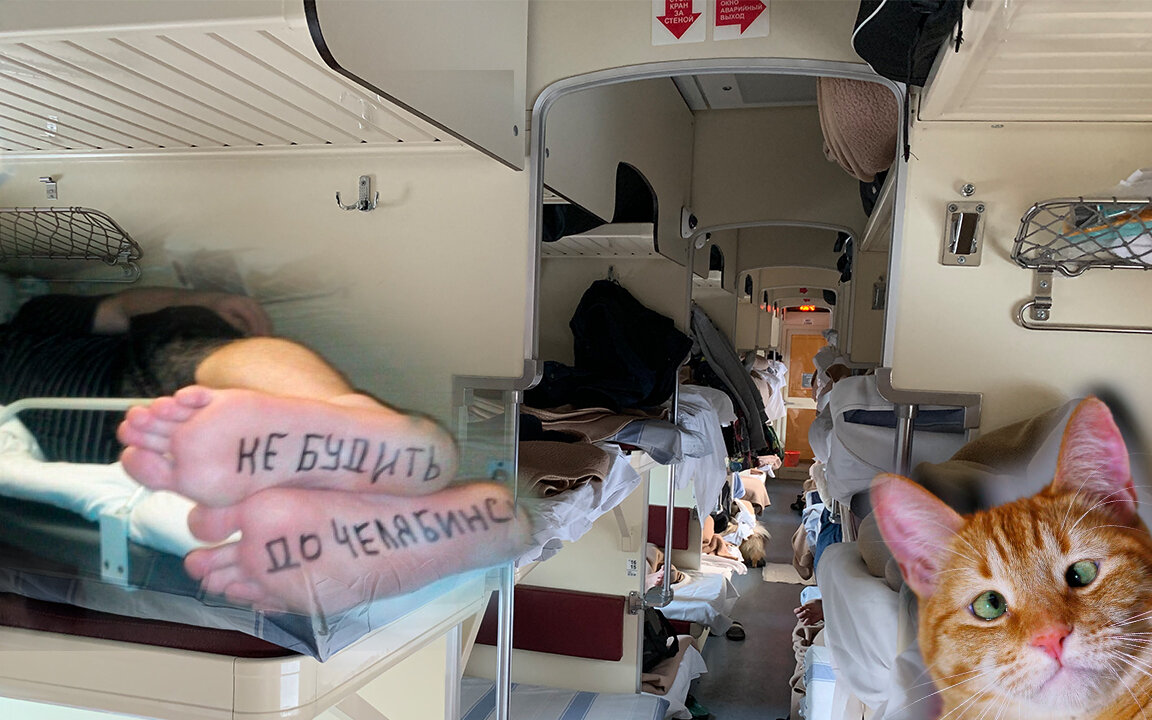 Фото ног и котейки с просторов интернета =)