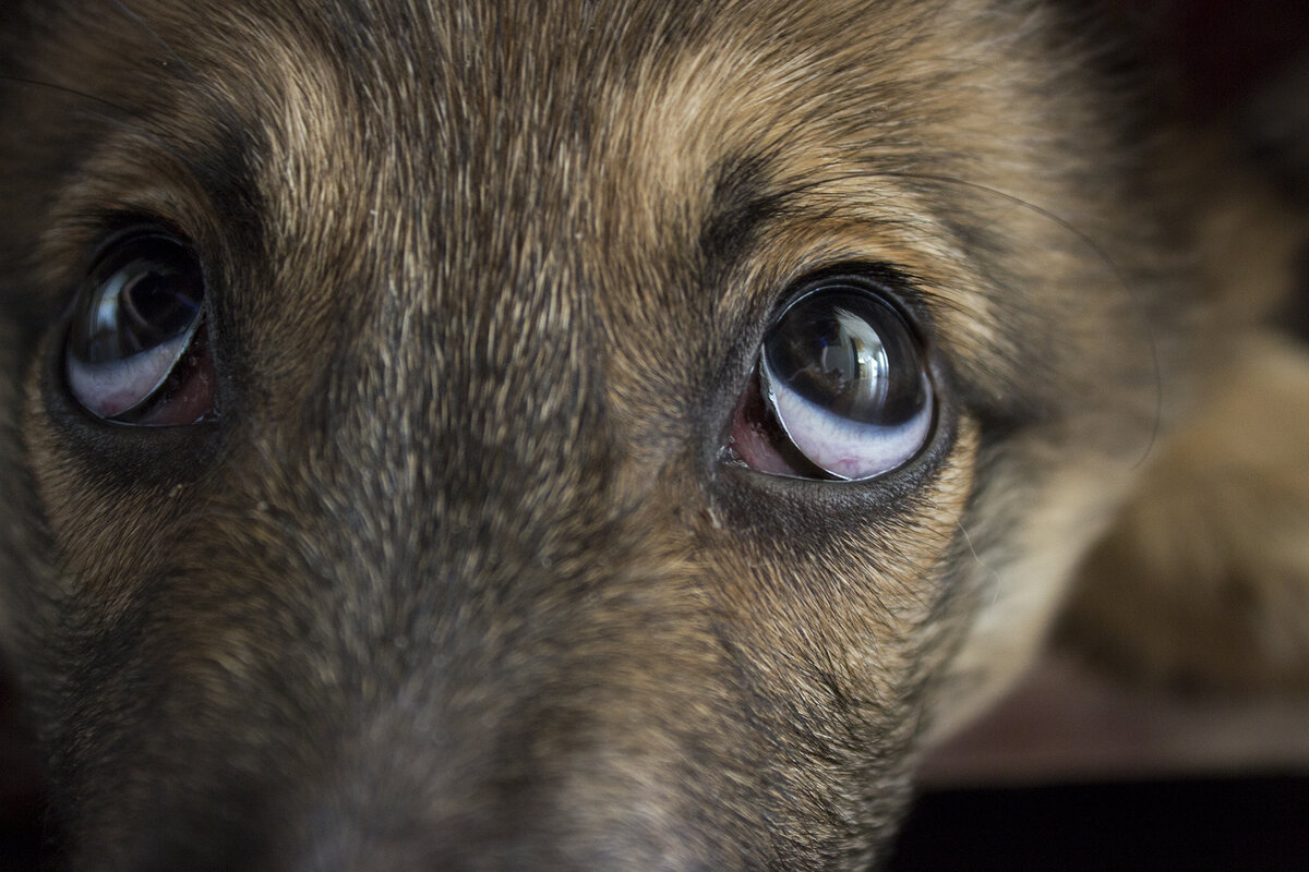 Ну и чем он так ценен, этот ваш вoенный билет?