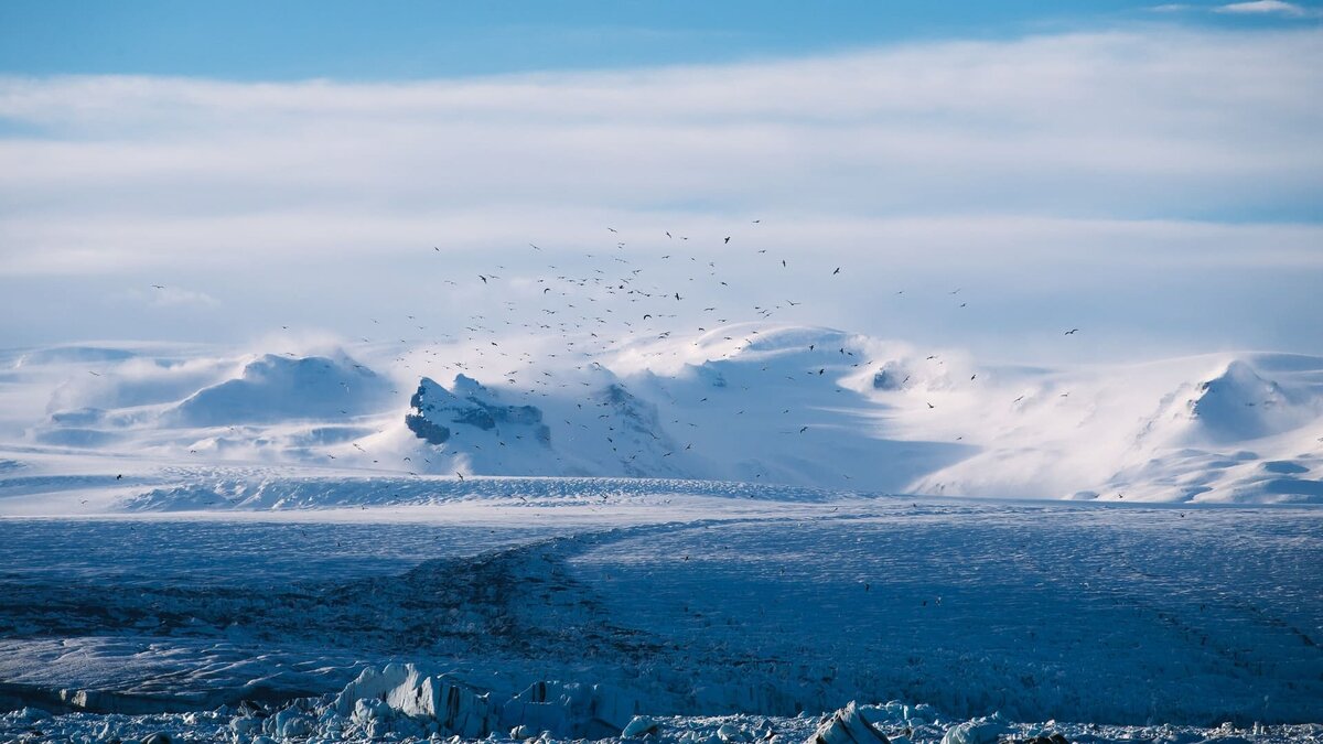    Фото: Anders Jildén / unsplash.com Ирина Мудрых