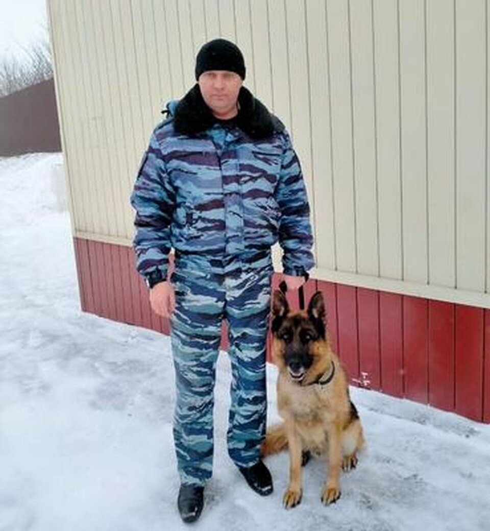     Пес Джек помог полицейским найти наркотики в машине  Пресс-служба УМВД Липецкой области.