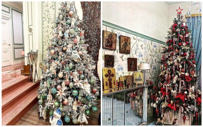    Фото: соцсети Софья Чулкова