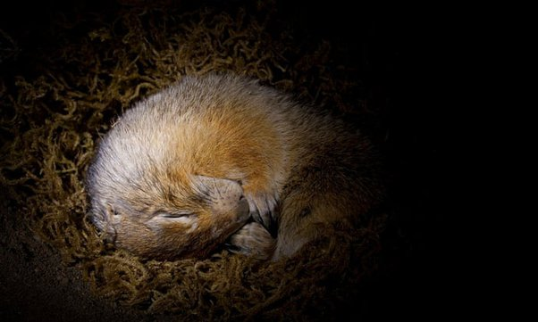 Листайте тише, а то разбудите.