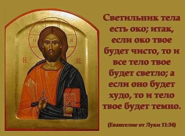 Источник: Яндекс. Картинки
