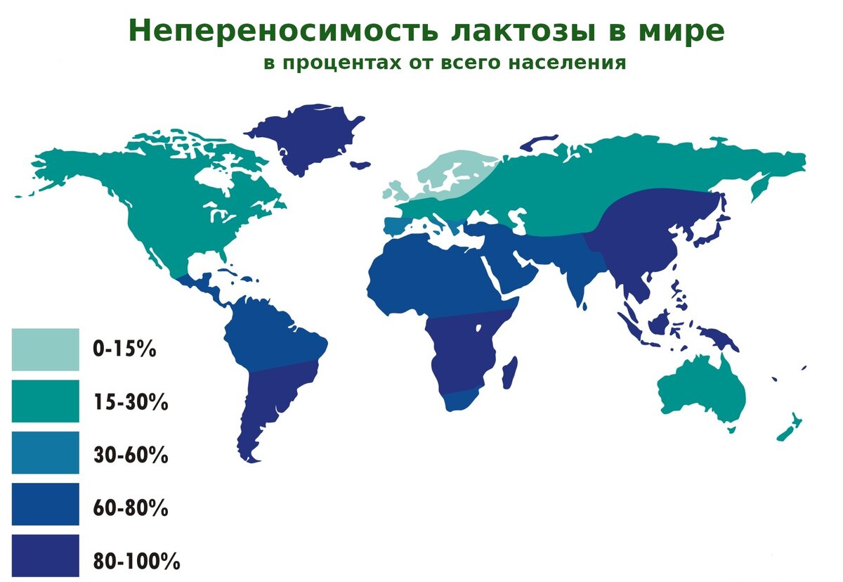 А карта молоко