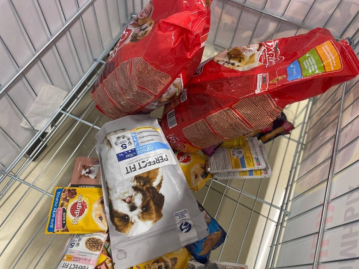    Вартовчане присоединились к акции «сНежный пес»