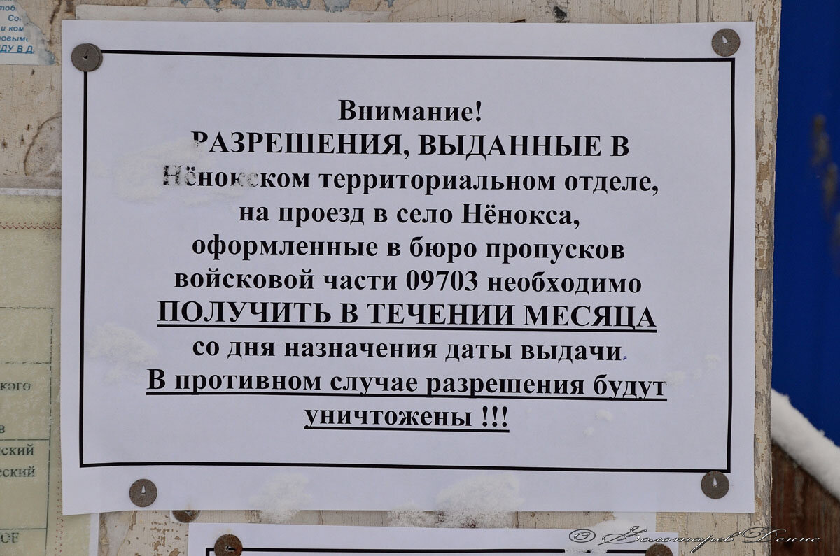 Поонежье. Зимнее путешествие. Рассказ двенадцатый - Нёнокса. | Тропами Руси  | Дзен