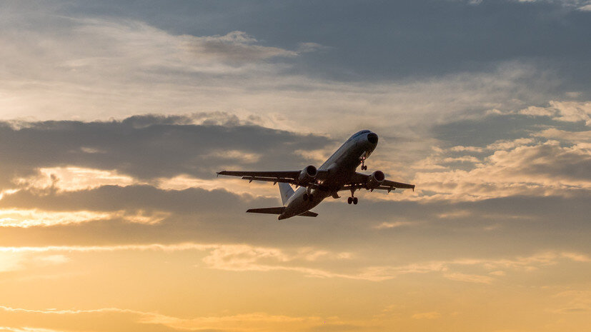   Gettyimages.ru Ivaylo Starchev / EyeEm