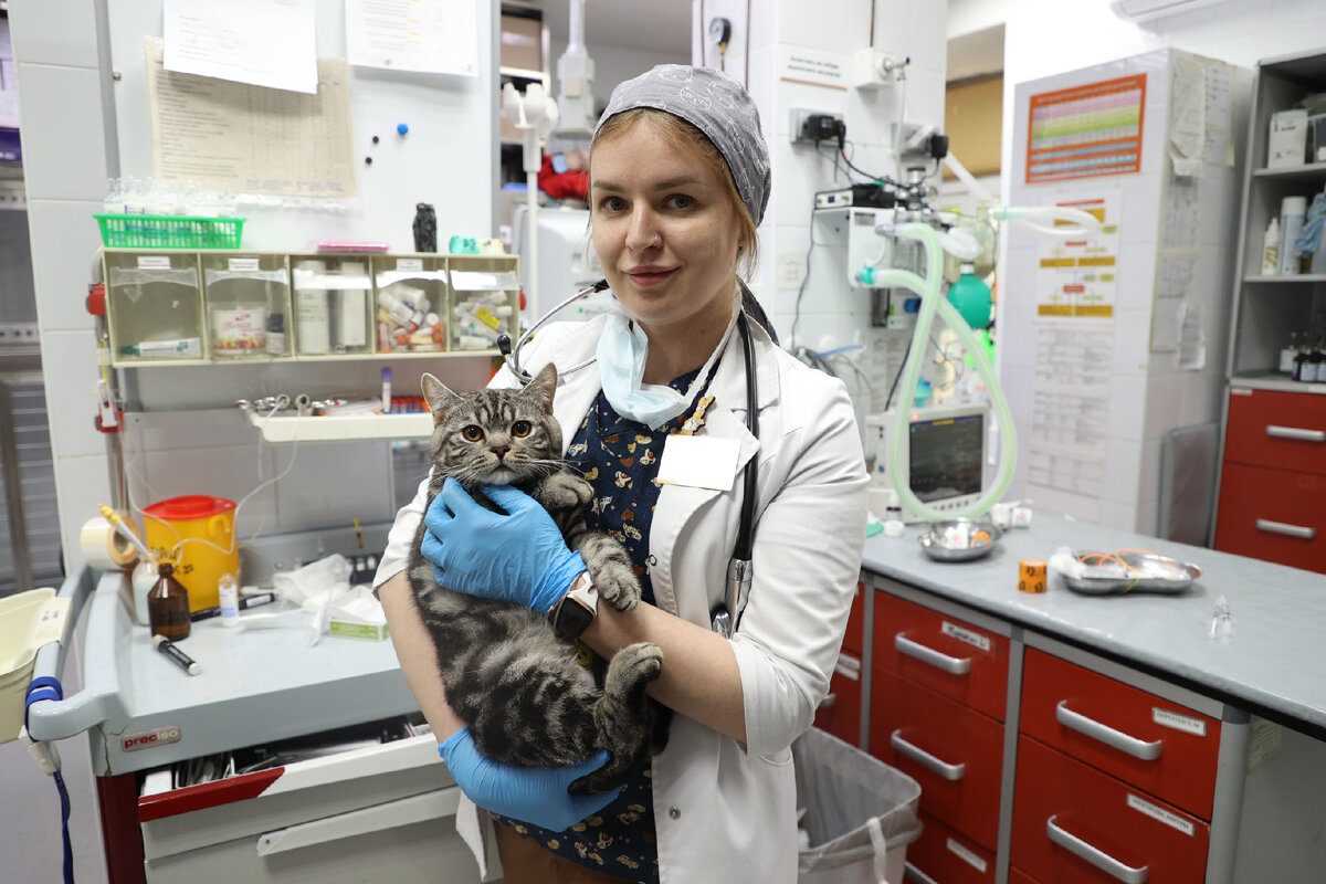 ФОТО: ARTEM SOBOLEV/NEWS.RU VIA GLOBALLOOKPRESS.COM/GLOBALLOOKPRESS 