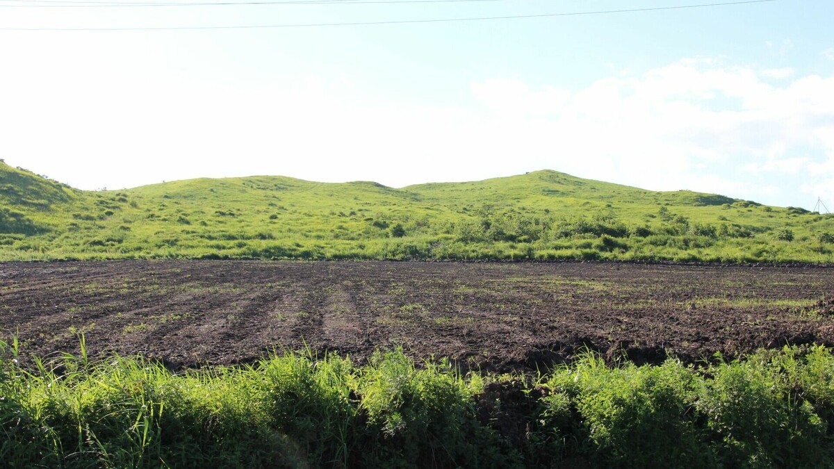     Омская агрофирма несколько лет арендовала участки и собиралась их выкупить, но местные власти по какой-то причине всячески противились сделке.