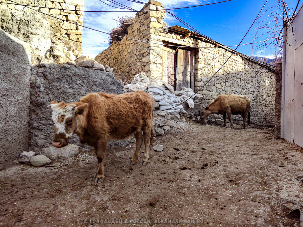 Улица Чиркаты. Фото: из личного архива