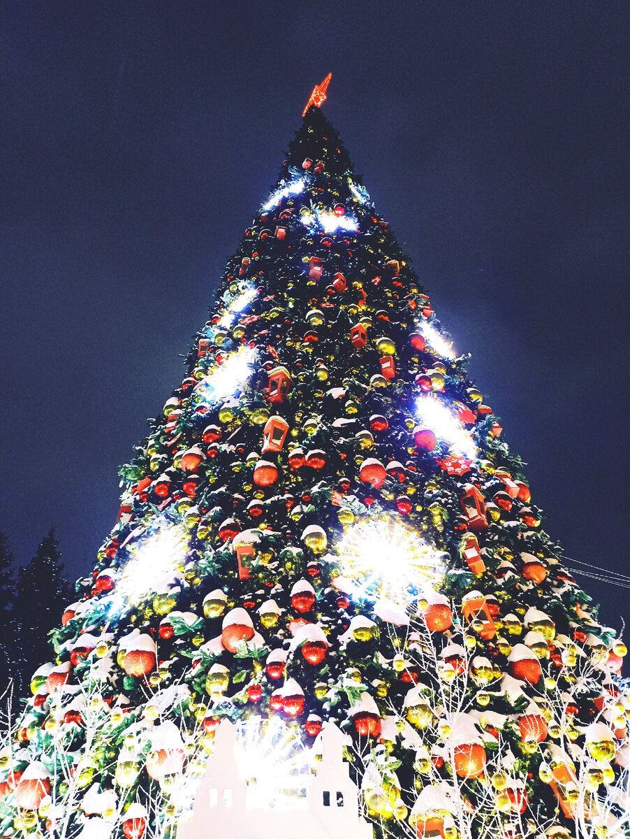 Ёлка в г. Новосибирск на пл. Ленина