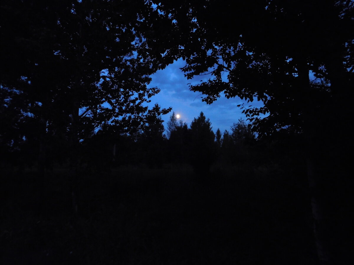 Фото автора канала