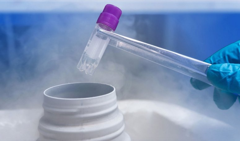 Фото: Depositphotos 