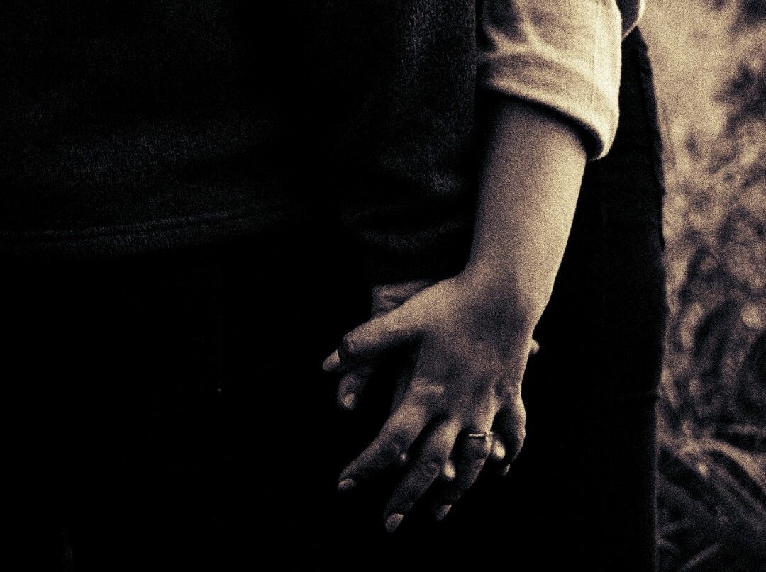 Источник: https://unsplash.com/ 