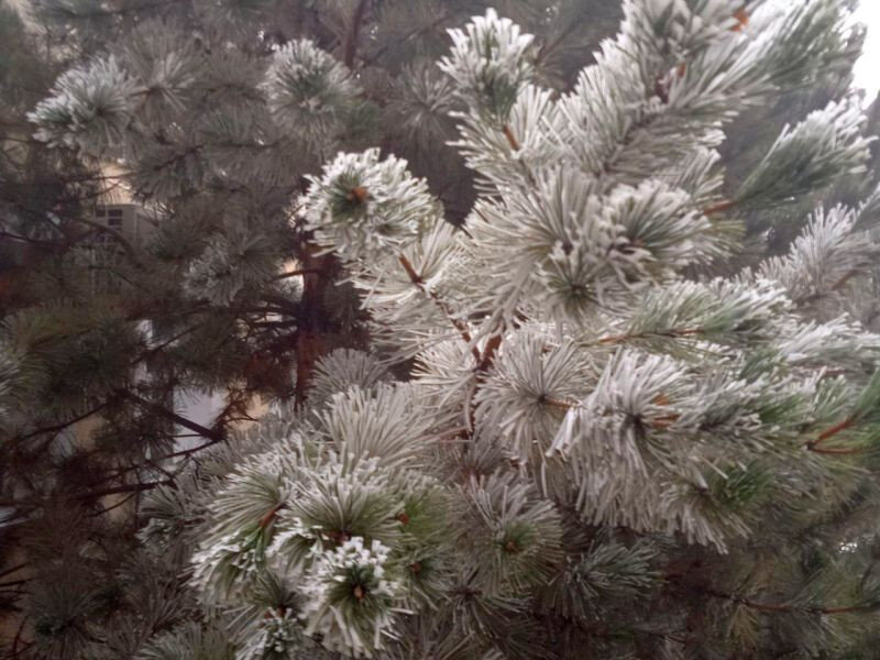   ГТРК "Ставрополье"