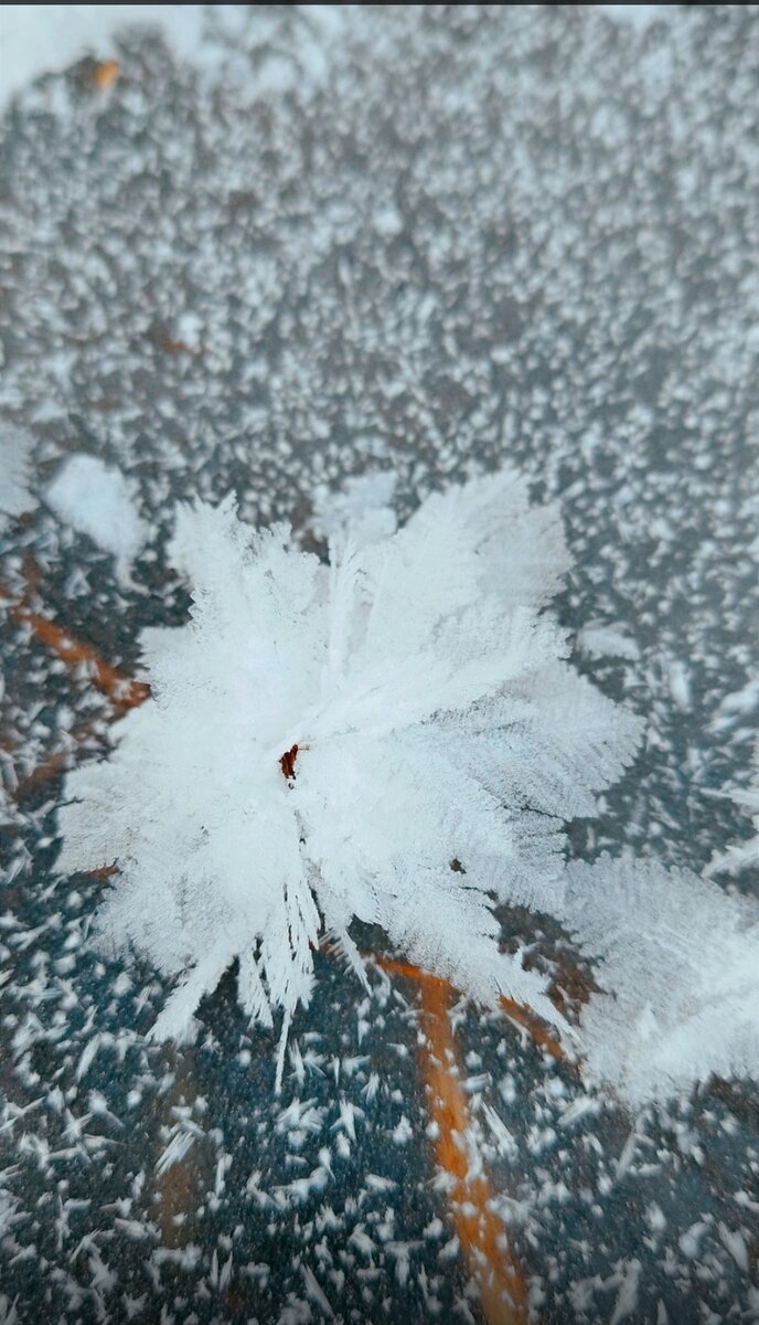 Наш двор. Лужа замёрзла. 