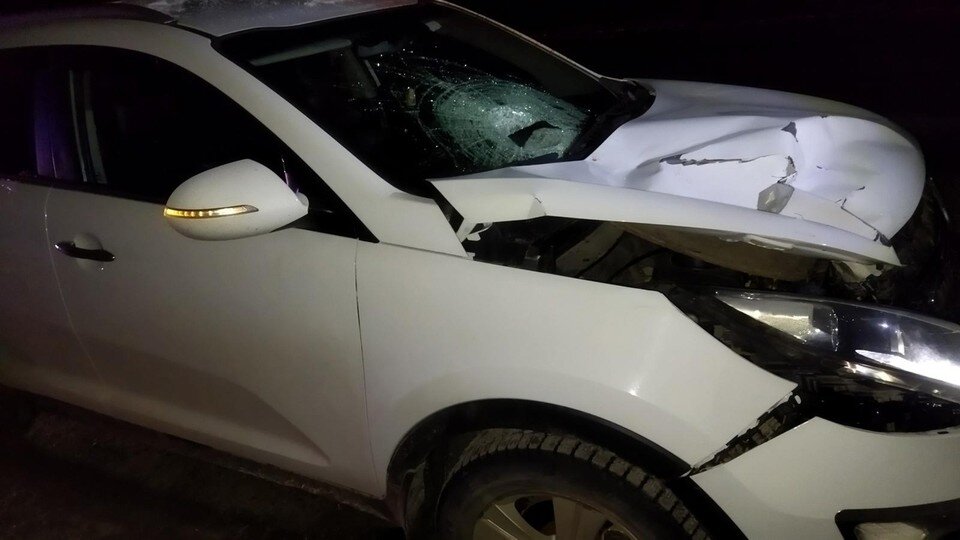     Фото: УГИБДД УМВД России по Орловской области