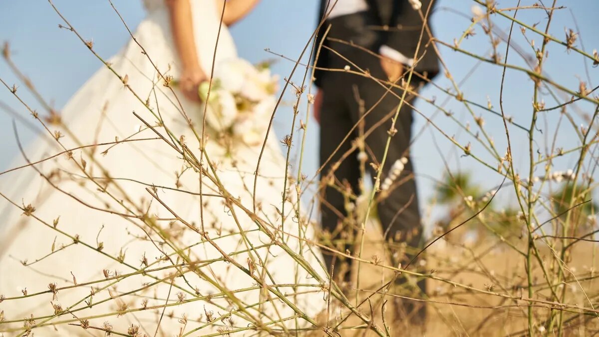 Счастье длилось недолго. Фото: unsplash.com