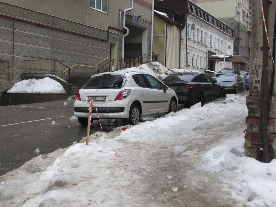     Фото Елены Федяшевой  из архива «КП»