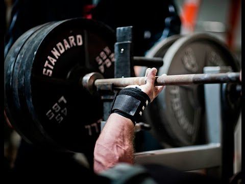 Источник фотографии: Яндекс картинки 