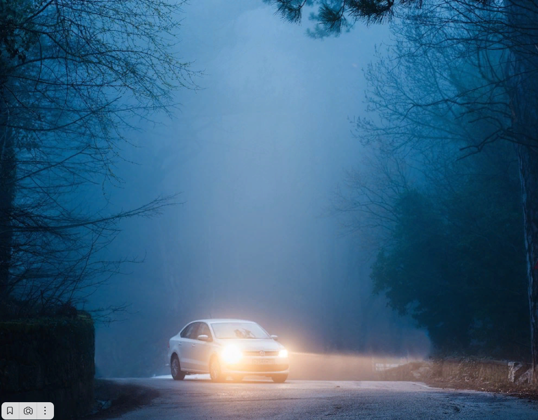 (изображение из открытых источников)