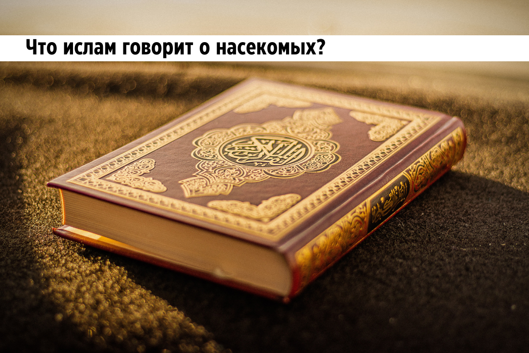 Фото взято из открытого фотостока Canva