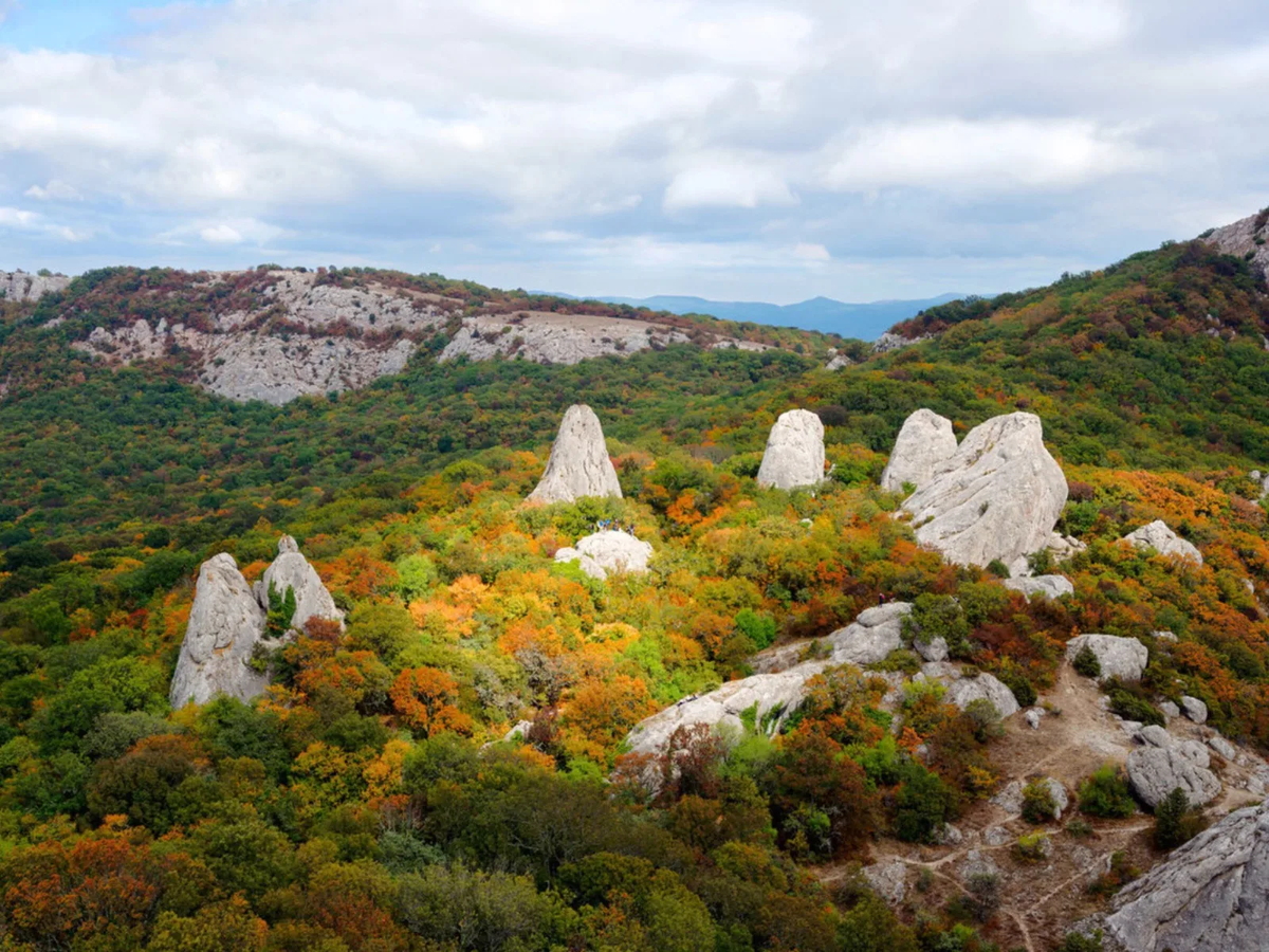 Фото из Яндекс.Картинок