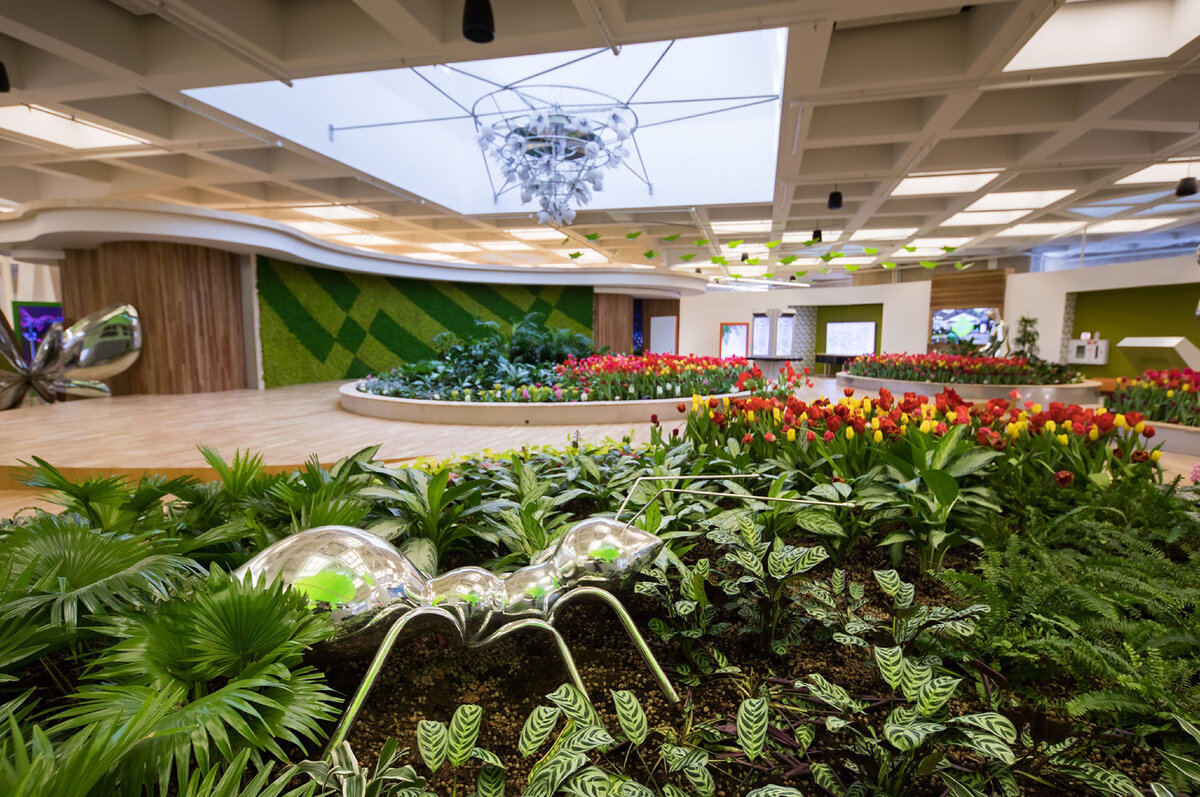 свао. свао москва картинки. вднх тропа подвесная. воздушная экотропа вднх. вднх апрель 2022.