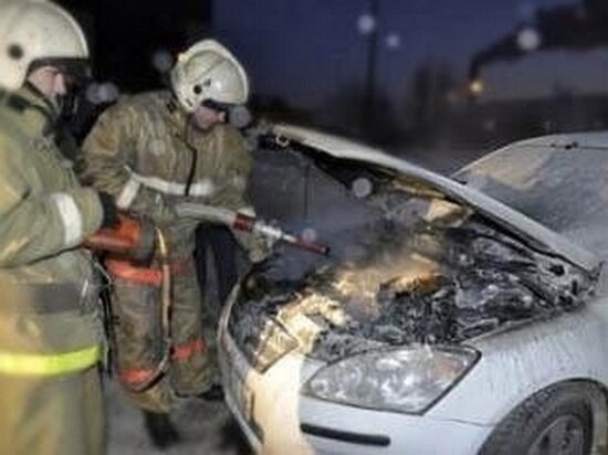     Фото: ГУ МЧС России по Томской области