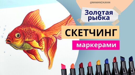 Как нарисовать красивую золотую рыбку маркерами