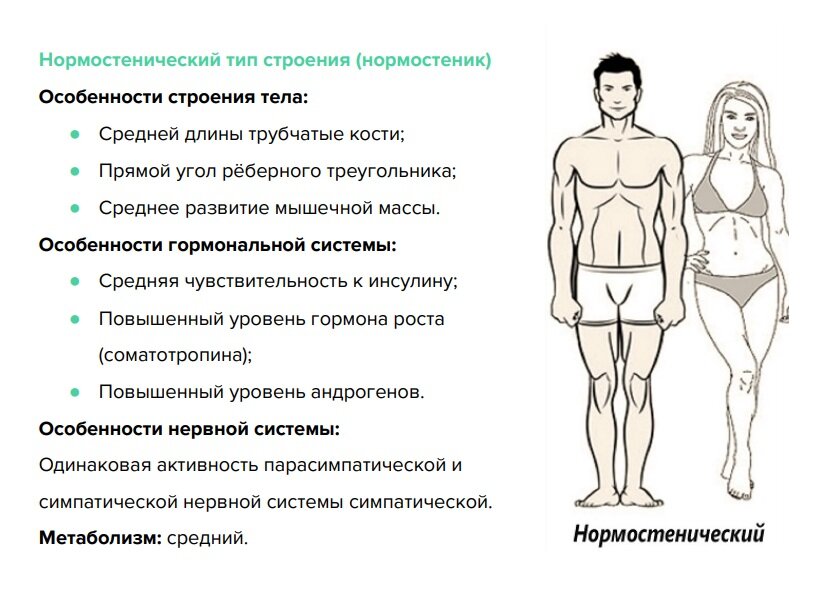 Типы телосложения по М.В. Черноруцкому