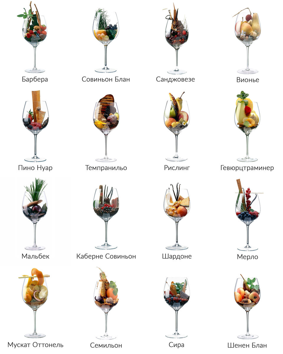 Наглядная шпаргалка ароматов сортов винограда.