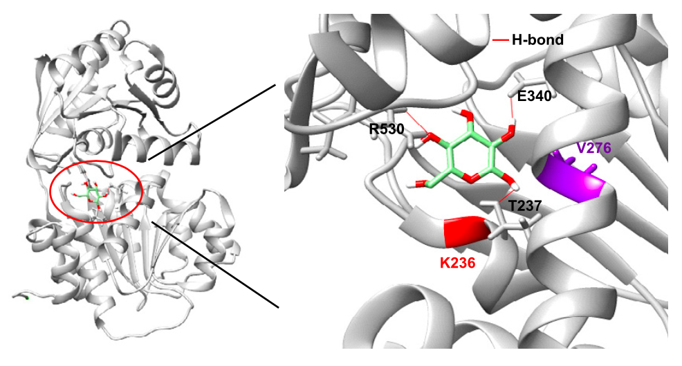  W. Miao et al. / Cell, 2023