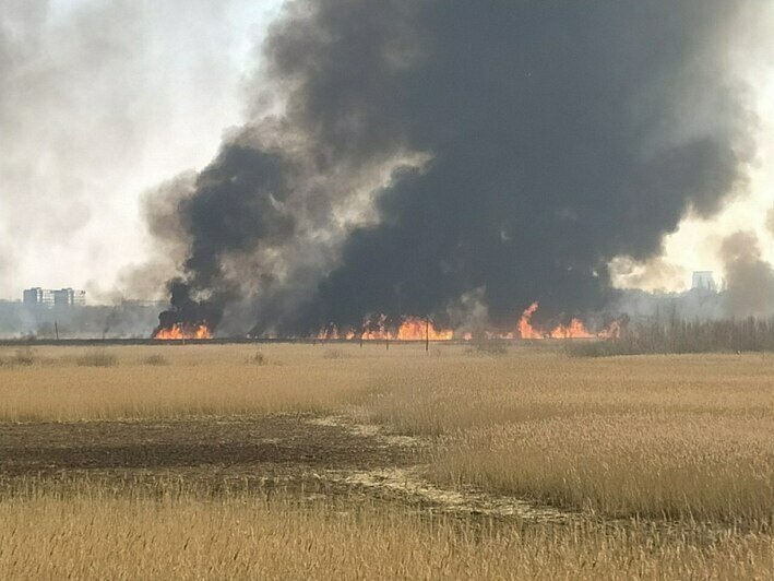 Запах жженой травы может навеять что-то приятное из детства, но в копченых деликатесах он - лишний