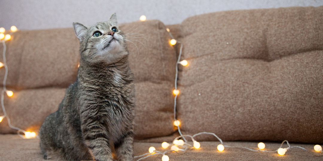 Как быстро найти идею для нового поста в рекламу