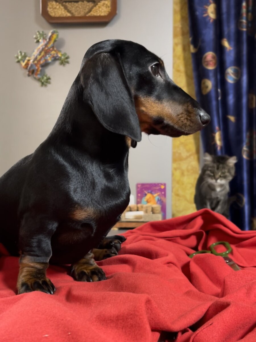 На этом фото я не один, заметили?