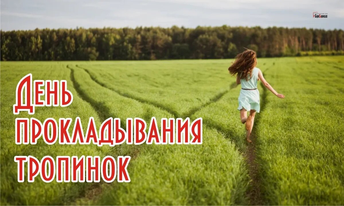 День прокладывания тропинок. Иллюстрация: «Курьер.Среда»