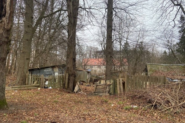   Фото из архива Калининград.Ru