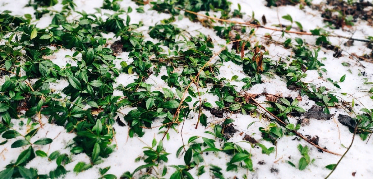 Крымская зима 😅😅 Когда снег - за счастье