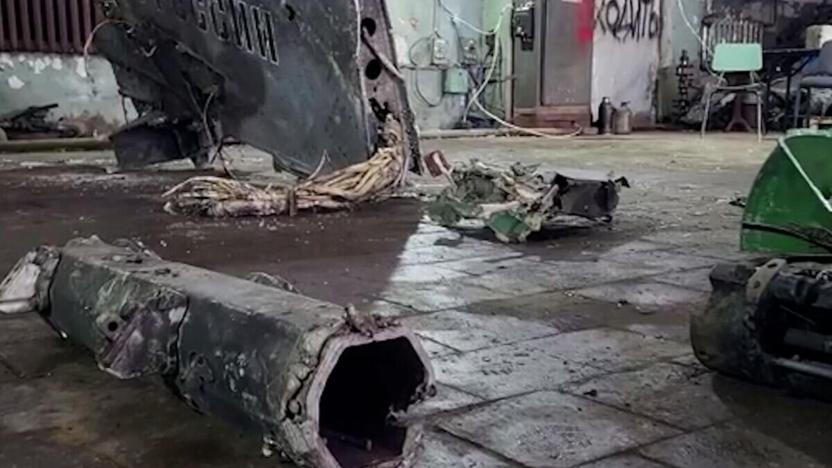    Обломки Су-24М группы "Вагнер", экипаж которого героически погиб в районе Клещеевки в ДНР© РИА Новости