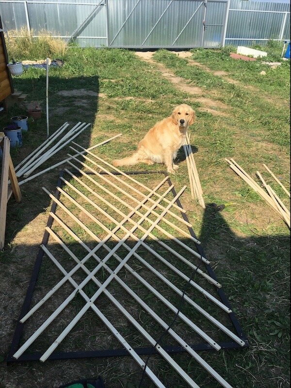 Главный помощник