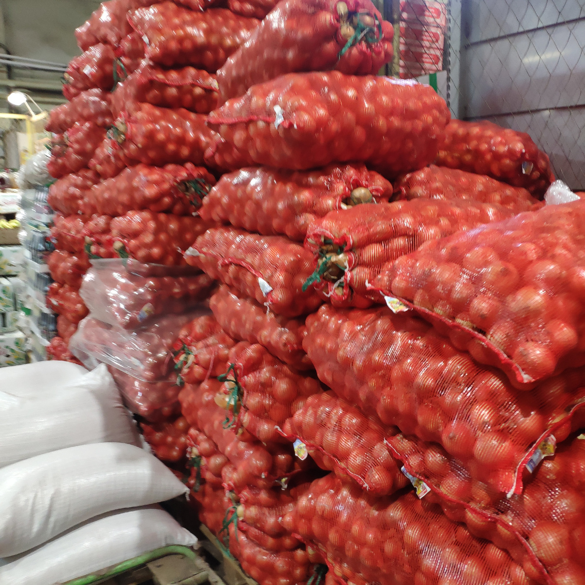 С утра закупаться овощами в продуктовый магазин моих родителей. 