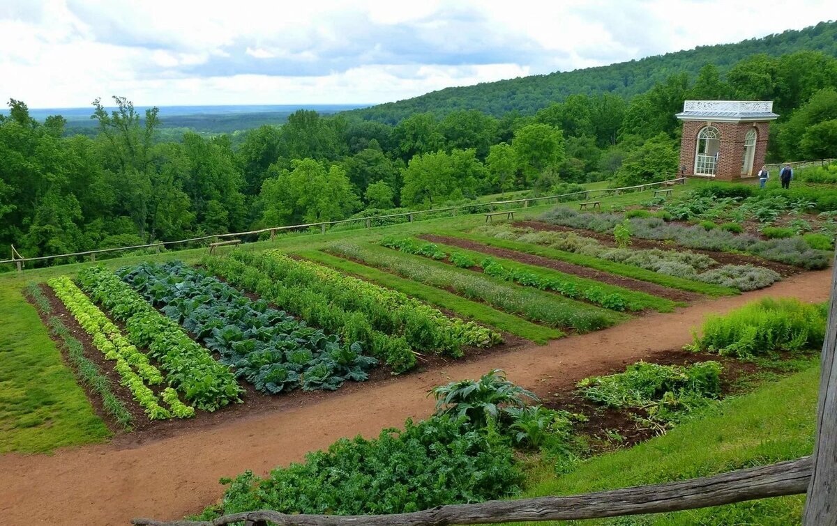 Пермакультура фермы США