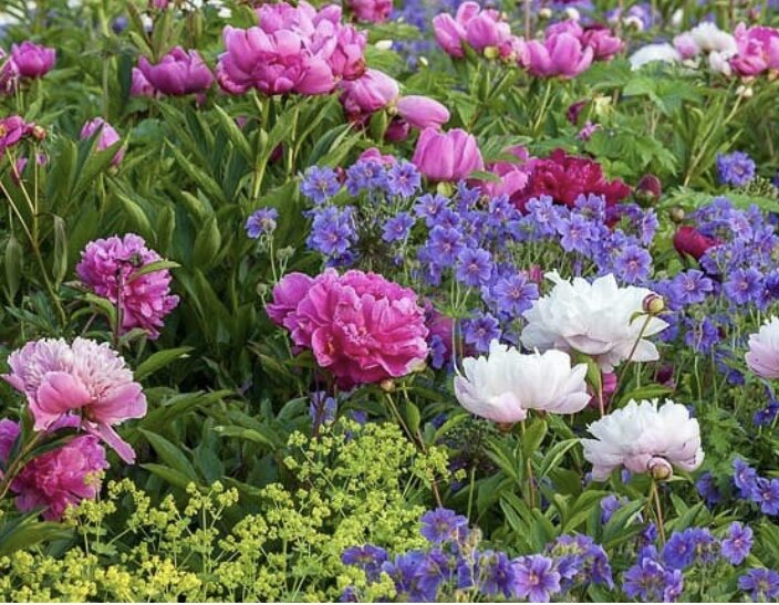 Фото из сети 